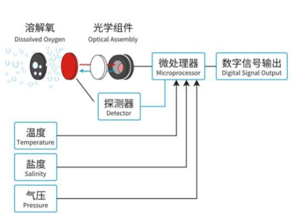 溶解氧傳感器